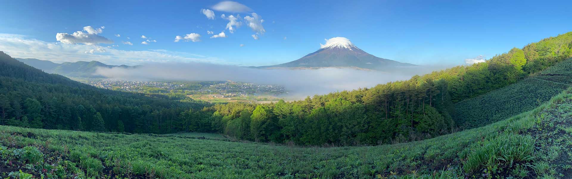 富士山の写真